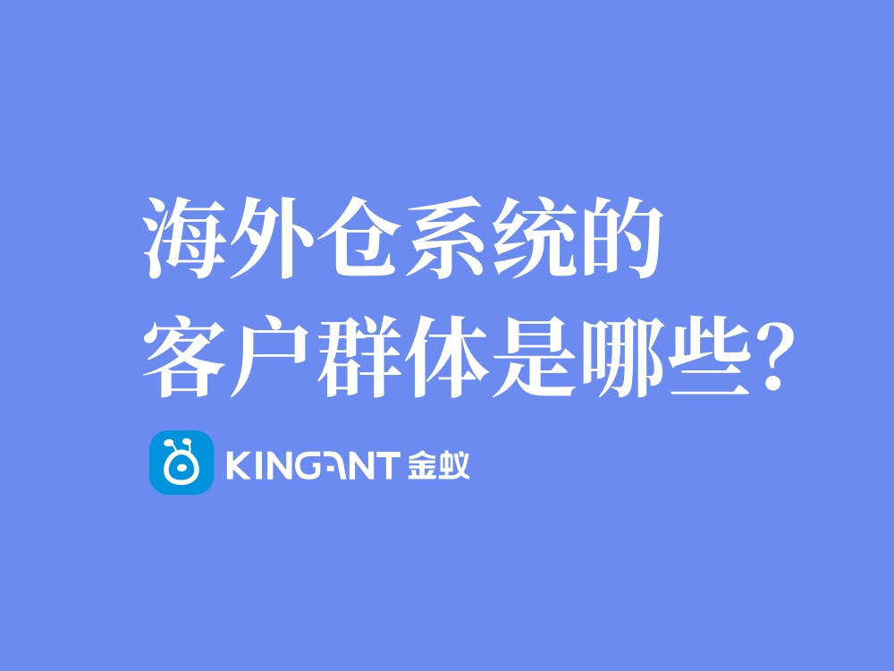 海外倉系統的客戶群體是哪些？