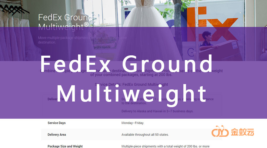 FedEx Multiweight 是什么？