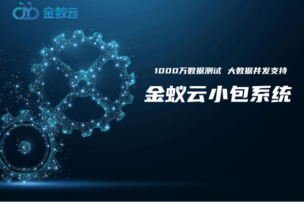 小包系統2020年異?；鸨绕鹭洿鶨RP，國際物流企業為何更青睞小包系統